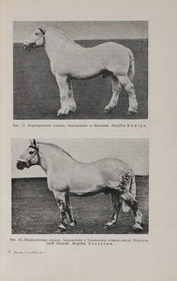 Книга о лошади. Составлена под руководством С.М. Будённого: в 5 т. Т. 1-5. М.: 1952-1959.